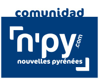 logo n'py